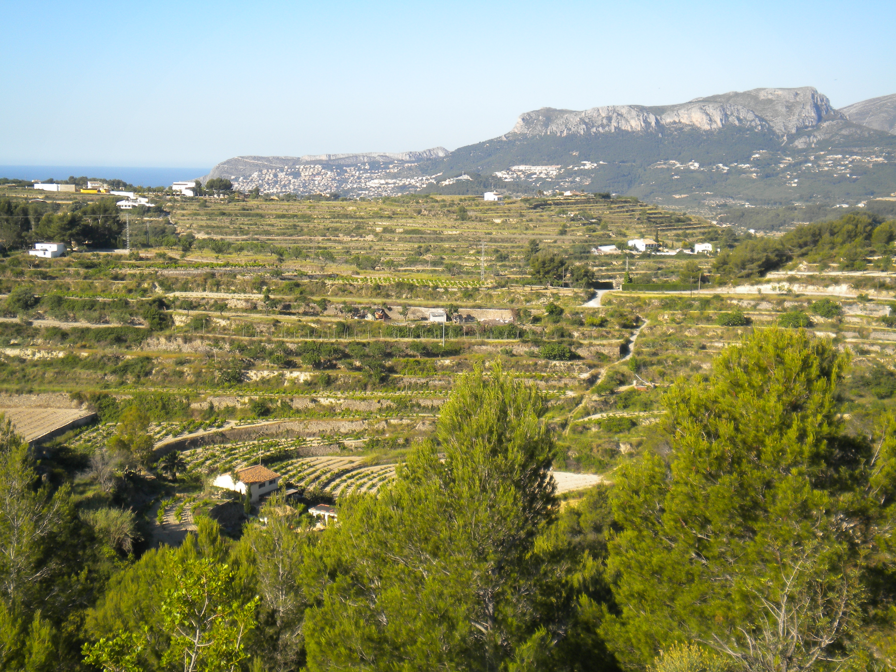 parcelas en benissa · zona-rustica 180000€
