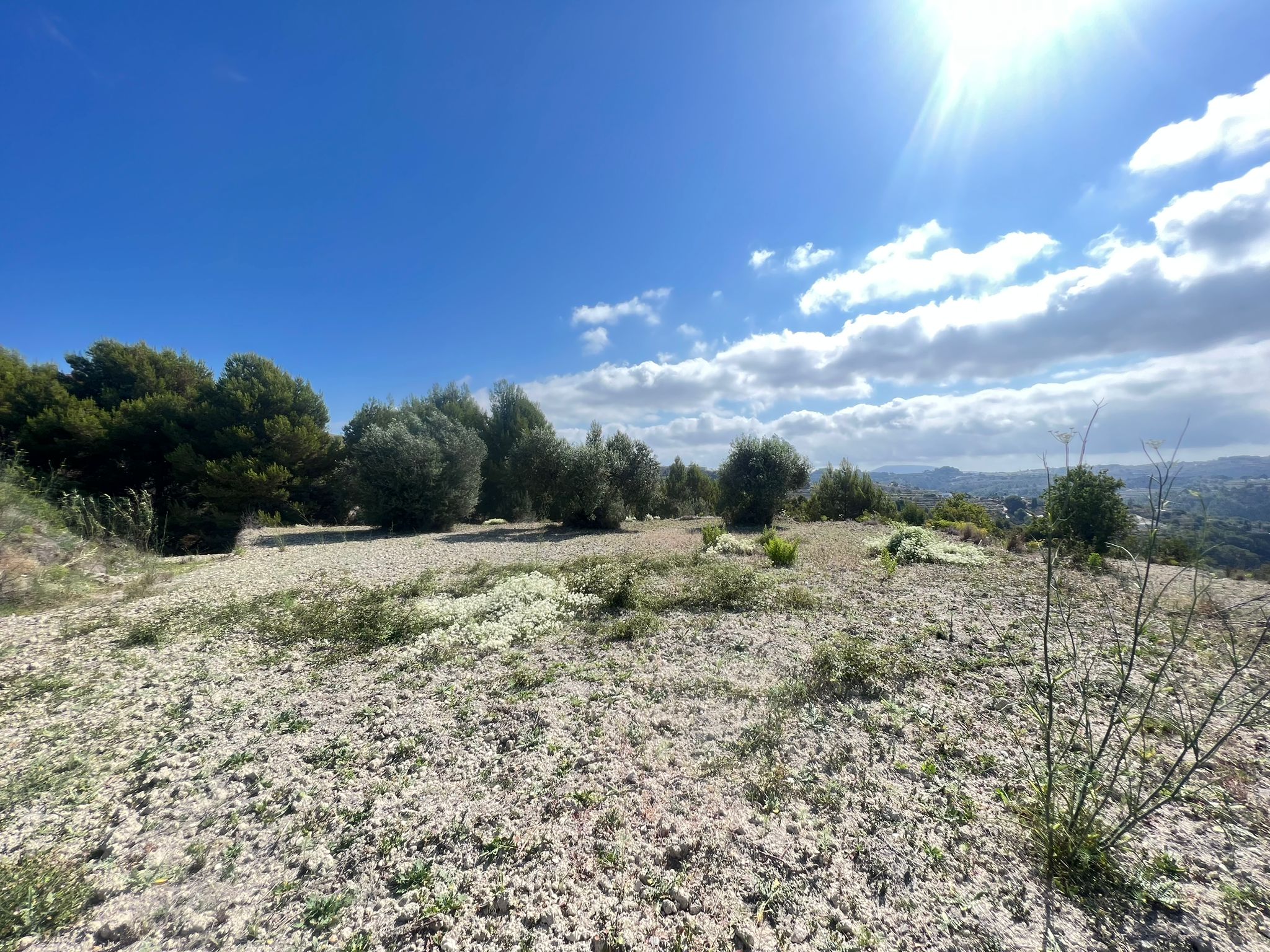 parcelas en benissa · zona-rustica 192000€